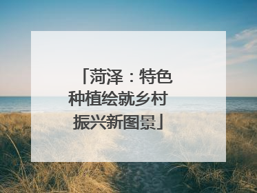 菏泽：特色种植绘就乡村振兴新图景