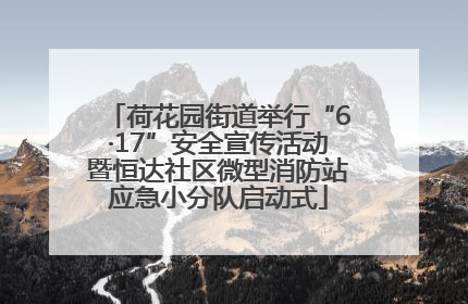 荷花园街道举行“6·17”安全宣传活动暨恒达社区微型消防站应急小分队启动式