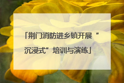 荆门消防进乡镇开展“沉浸式”培训与演练