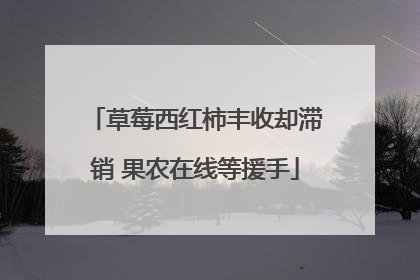 草莓西红柿丰收却滞销 果农在线等援手