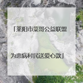 莱阳市菜哥公益联盟为患病村民送爱心款
