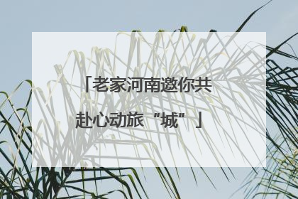 老家河南邀你共赴心动旅“城”