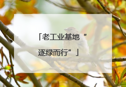 老工业基地“逐绿而行”