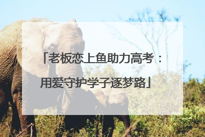 老板恋上鱼助力高考：用爱守护学子逐梦路