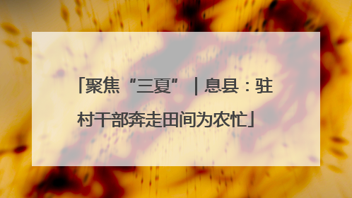 聚焦“三夏”｜息县：驻村干部奔走田间为农忙