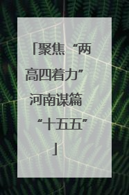 聚焦“两高四着力” 河南谋篇“十五五”