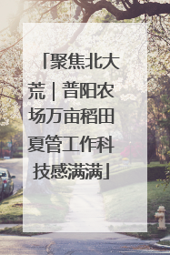 聚焦北大荒｜普阳农场万亩稻田夏管工作科技感满满