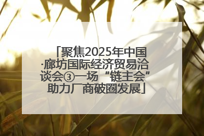 聚焦2025年中国·廊坊国际经济贸易洽谈会③一场“链主会” 助力厂商破圈发展