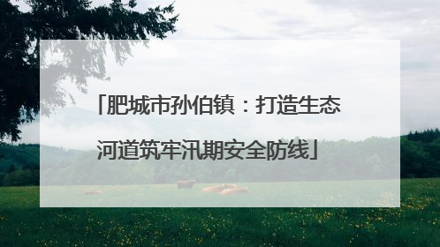 肥城市孙伯镇：打造生态河道筑牢汛期安全防线