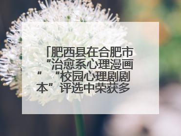 肥西县在合肥市“治愈系心理漫画”“校园心理剧剧本”评选中荣获多项大奖！