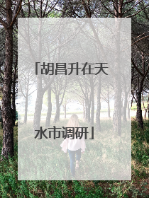 胡昌升在天水市调研