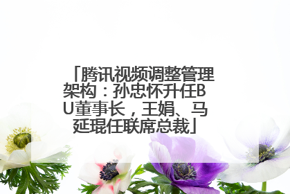 腾讯视频调整管理架构：孙忠怀升任BU董事长，王娟、马延琨任联席总裁