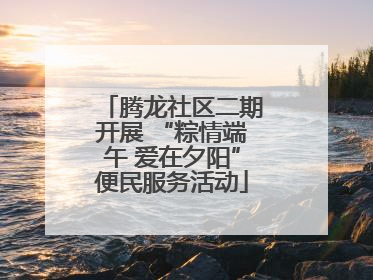 腾龙社区二期开展 “粽情端午 爱在夕阳”便民服务活动