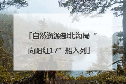 自然资源部北海局“向阳红17”船入列