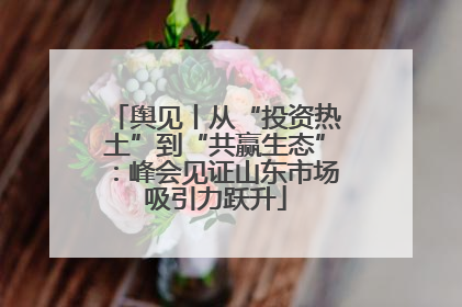 舆见丨从“投资热土”到“共赢生态”：峰会见证山东市场吸引力跃升