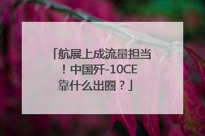 航展上成流量担当！中国歼-10CE靠什么出圈？