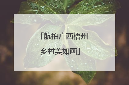 航拍广西梧州乡村美如画