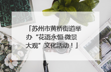 苏州市黄桥街道举办“花语永恒·微景大观”文化活动！
