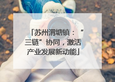 苏州渭塘镇：“三链”协同，激活产业发展新动能