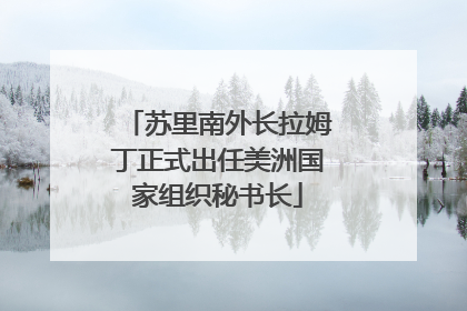 苏里南外长拉姆丁正式出任美洲国家组织秘书长