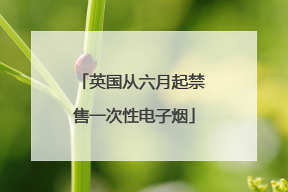 英国从六月起禁售一次性电子烟
