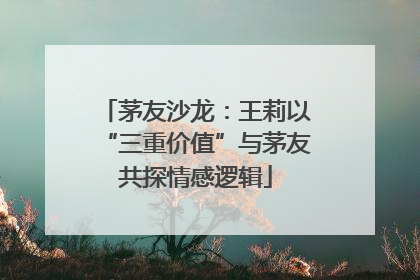 茅友沙龙：王莉以“三重价值”与茅友共探情感逻辑