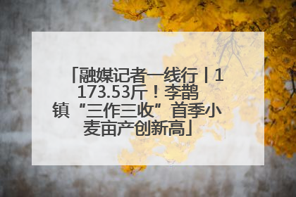 融媒记者一线行丨1173.53斤！李鹊镇“三作三收”首季小麦亩产创新高