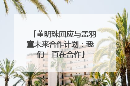 董明珠回应与孟羽童未来合作计划：我们一直在合作
