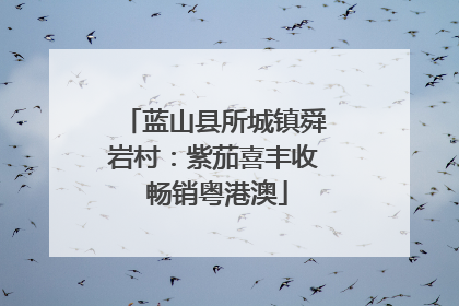 蓝山县所城镇舜岩村：紫茄喜丰收 畅销粤港澳