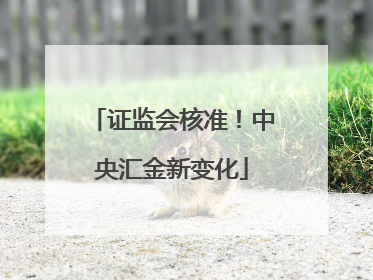 证监会核准！中央汇金新变化