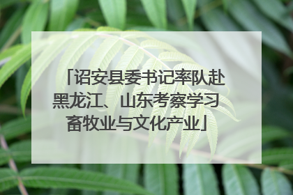 诏安县委书记率队赴黑龙江、山东考察学习畜牧业与文化产业