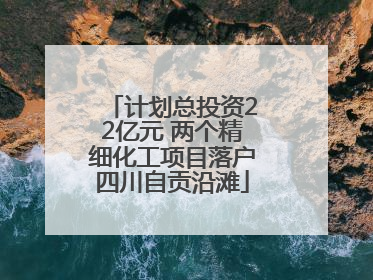 计划总投资22亿元 两个精细化工项目落户四川自贡沿滩