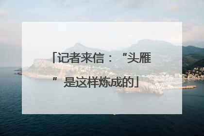 记者来信：“头雁”是这样炼成的