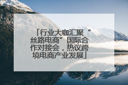 行业大咖汇聚“丝路电商”国际合作对接会，热议跨境电商产业发展
