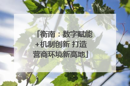 衡南：数字赋能+机制创新 打造营商环境新高地