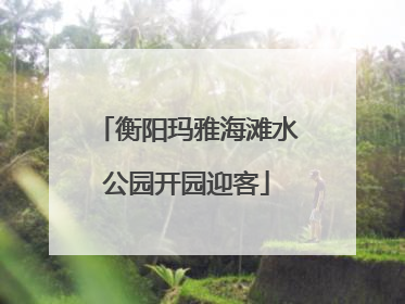 衡阳玛雅海滩水公园开园迎客