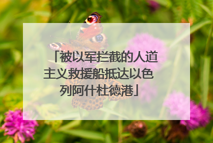 被以军拦截的人道主义救援船抵达以色列阿什杜德港