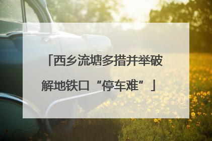 西乡流塘多措并举破解地铁口“停车难”