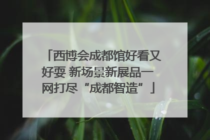 西博会成都馆好看又好耍 新场景新展品一网打尽“成都智造”