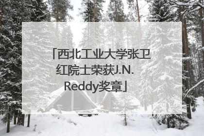 西北工业大学张卫红院士荣获J.N.Reddy奖章