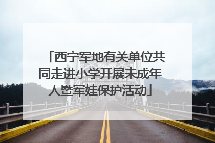 西宁军地有关单位共同走进小学开展未成年人暨军娃保护活动