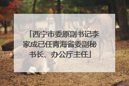 西宁市委原副书记李家成已任青海省委副秘书长、办公厅主任