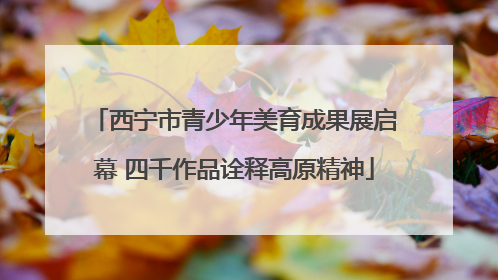 西宁市青少年美育成果展启幕 四千作品诠释高原精神