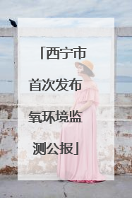 西宁市首次发布氧环境监测公报