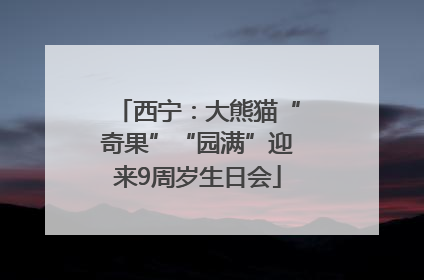 西宁：大熊猫“奇果”“园满”迎来9周岁生日会