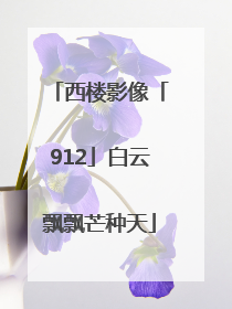 西楼影像「912」白云飘飘芒种天