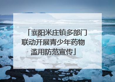襄阳米庄镇多部门联动开展青少年药物滥用防范宣传