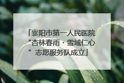 襄阳市第一人民医院“杏林春雨・雪域仁心”志愿服务队成立