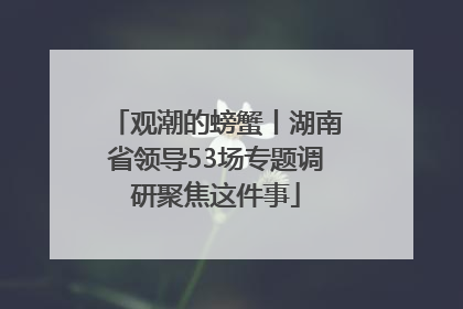 观潮的螃蟹丨湖南省领导53场专题调研聚焦这件事
