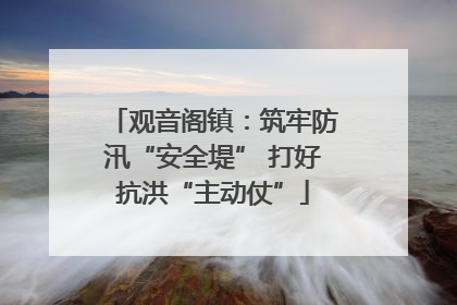 观音阁镇：筑牢防汛“安全堤” 打好抗洪“主动仗”